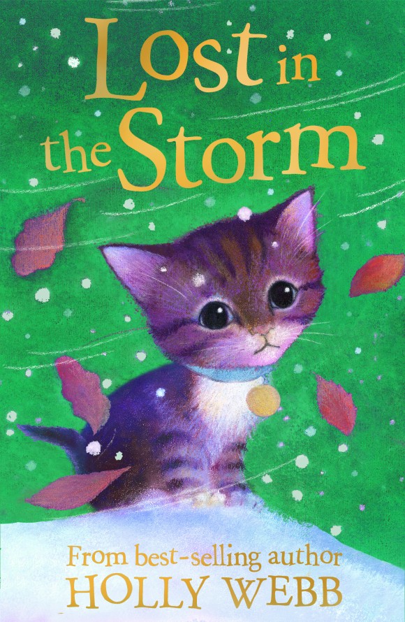 lost in the storm kids book